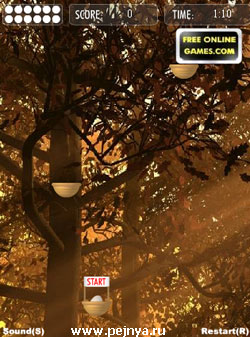 ���� ����