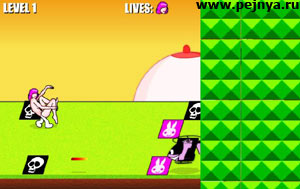 ����� ������