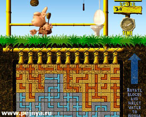 ����� ������