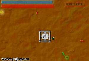 ���� ����