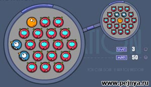 ���� ����