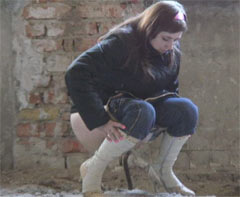 подсмотрели